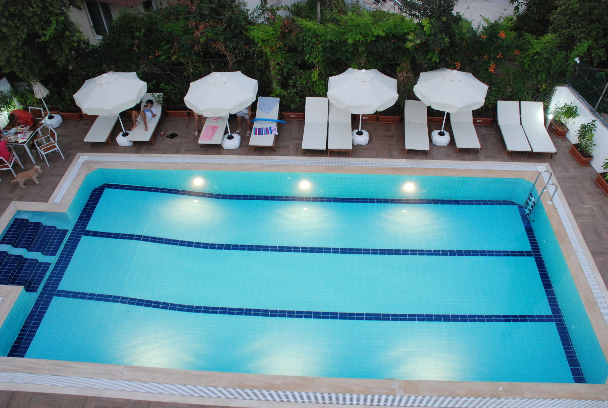 Elegance Hotel Kemer Extérieur photo